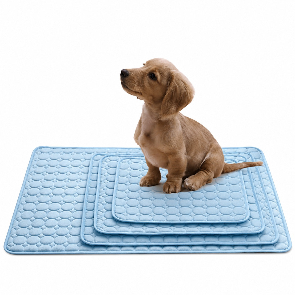 Tappetino Rinfrescante™ per cani e gatti
